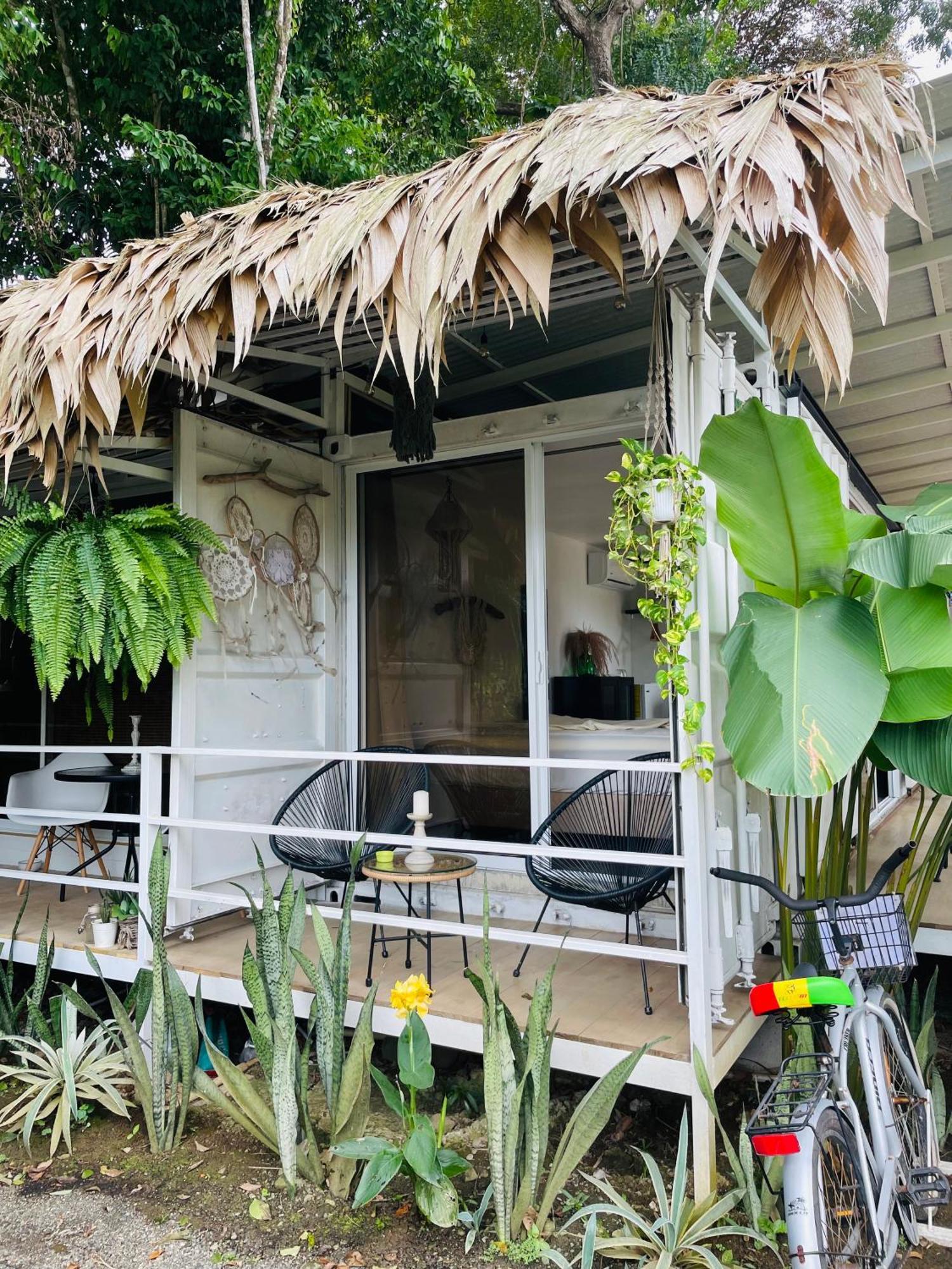 Casa Luce Bed & Breakfast Puerto Viejo de Talamanca ภายนอก รูปภาพ