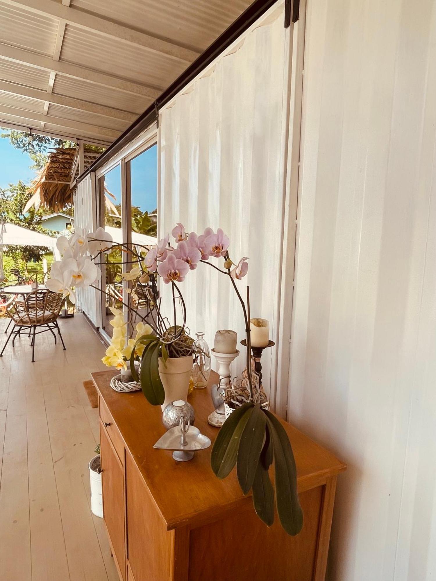 Casa Luce Bed & Breakfast Puerto Viejo de Talamanca ภายนอก รูปภาพ