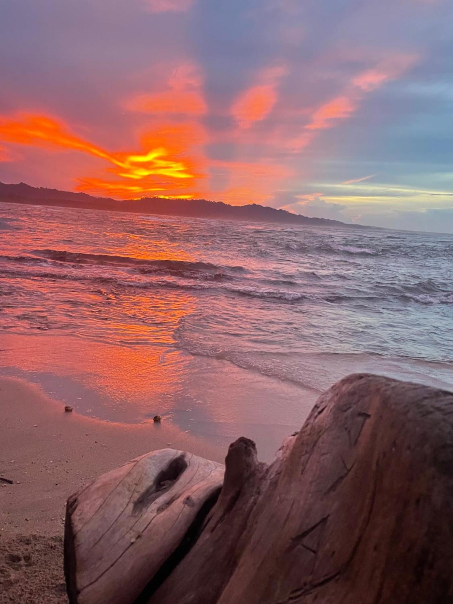 Casa Luce Bed & Breakfast Puerto Viejo de Talamanca ภายนอก รูปภาพ