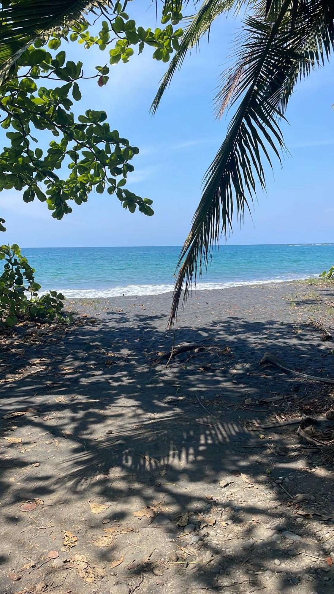 Casa Luce Bed & Breakfast Puerto Viejo de Talamanca ภายนอก รูปภาพ