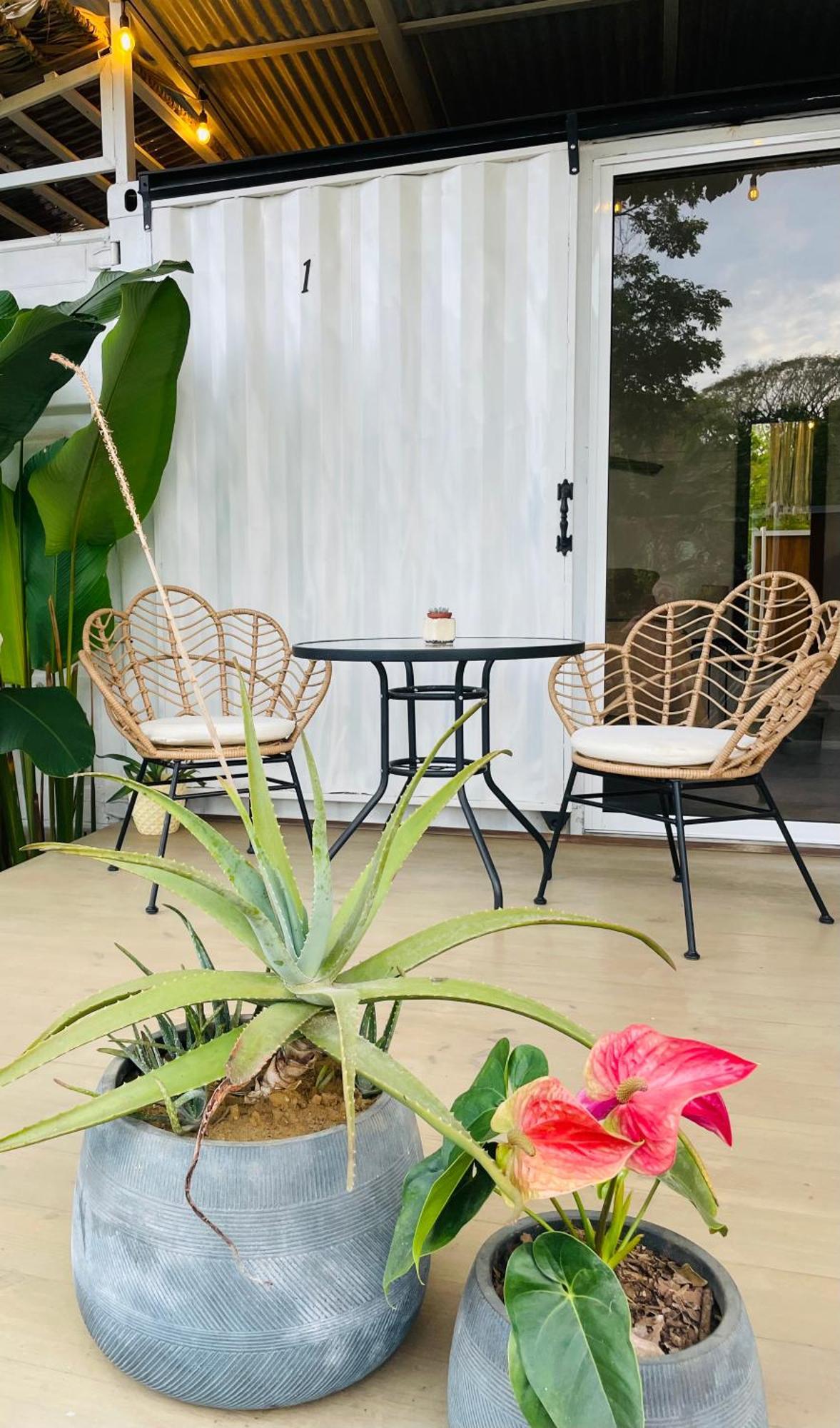 Casa Luce Bed & Breakfast Puerto Viejo de Talamanca ภายนอก รูปภาพ
